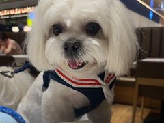 -龙记香港茶餐厅(久光百货店)