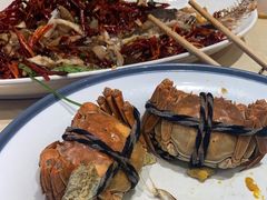 -杨氏青龙虾·羊蝎子(珠江路店)