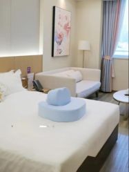 -爱帝宫月子中心·成都概念院