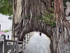 -乌山风景区