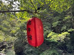 -石台牯牛降景区