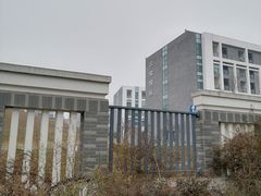 -约翰·菲茨杰拉德·肯尼迪国际机场