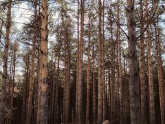 -长春净月潭风景名胜区