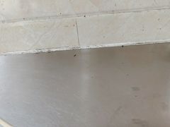 -肖家河家常面(肖家河北街店)