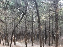 -青州市云门山风景区