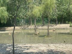 -溱湖国家湿地公园