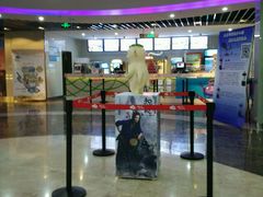 大厅-天幕新彩云国际影城(激光巨幕店)