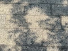 -南岳衡山风景名胜区-南岳大庙