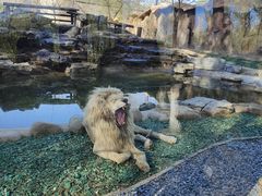 -北京野生动物园