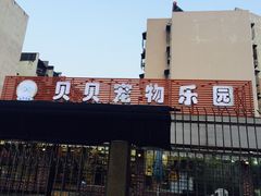 -贝贝宠物乐园(常青花园店)