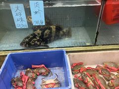 -蛇平饭店(明园路店)