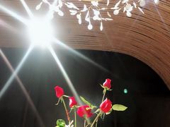 -肴约·花园式餐厅(湖里店)