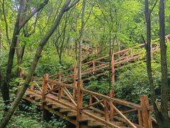 -大岭沟猕猴桃谷风景区