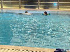 -廊坊固安福朋喜来登酒店