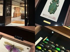 -中旅阿那亚九龙湖·公主酒店