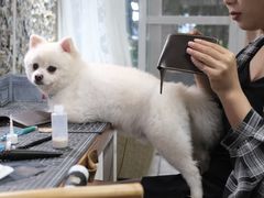 -零几体验diy皮具工作室(振业城店)