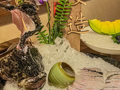 深海生猛龙胆鱼姿造-揽季锅物会.福建黄鱼.海鲜姿造(五四路店)