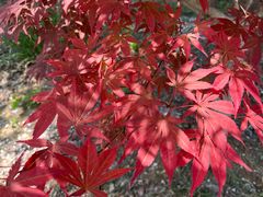 -泗洪洪泽湖湿地景区