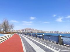 -星光岛