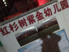 -红杉树紫金幼儿园