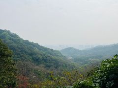 -广州市白云山风景名胜区