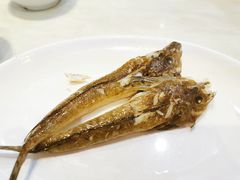 -长平老姿娘夜粥(平东一街店)