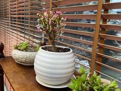 -漫渡庄绿岛花园•隐世庭园菜(滨湖店)