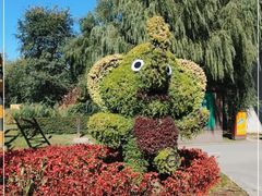 -长白岛森林公园