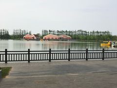 -上海长兴岛郊野公园