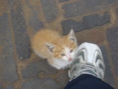 DSCI3239-榆次老城