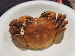 清蒸大闸蟹-蟹榭·本帮江浙菜·蟹宴(五角场合生汇商场店)