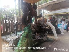 -西双版纳傣族园