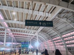 -深圳坪山站