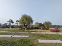 -汉长安城未央宫国家考古遗址公园