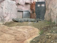 -武汉动物园