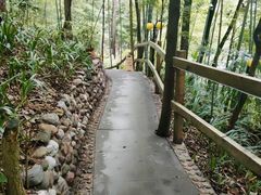 -花水湾第一村温泉大酒店