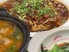 新概念来凤鱼-新概念来凤鱼(璧山店)