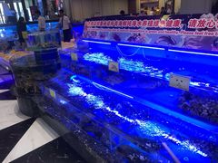 -新海渔港·胶东海鲜家常菜·家宴(奥体中心店)