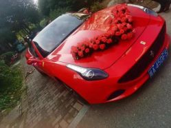 -蚂蚁婚车