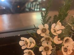 -gaga(深圳南山益田假日广场店)