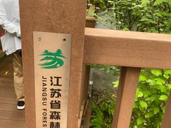 -江苏三台山国家森林公园