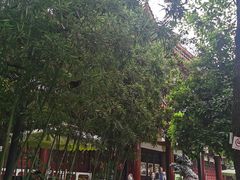 -香园自助小火锅