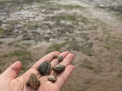 -在海一方公园