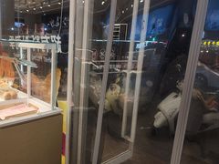 -甜星Star面包生日蛋糕(北坦店)