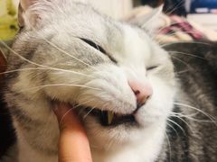 -平行世界·猫咖(首经贸店)