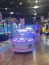 -卡通尼·Safari非洲探索乐园·生日会(金桥国际商业广场店)