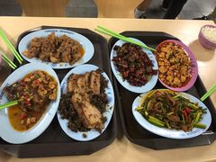 -清华大学-清芬园
