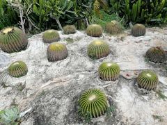 -亚龙湾国际玫瑰谷