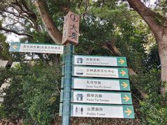 -大澳