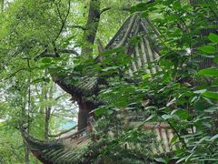 -成都市文殊院